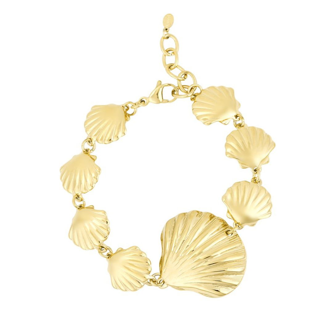 Grote schelp armband