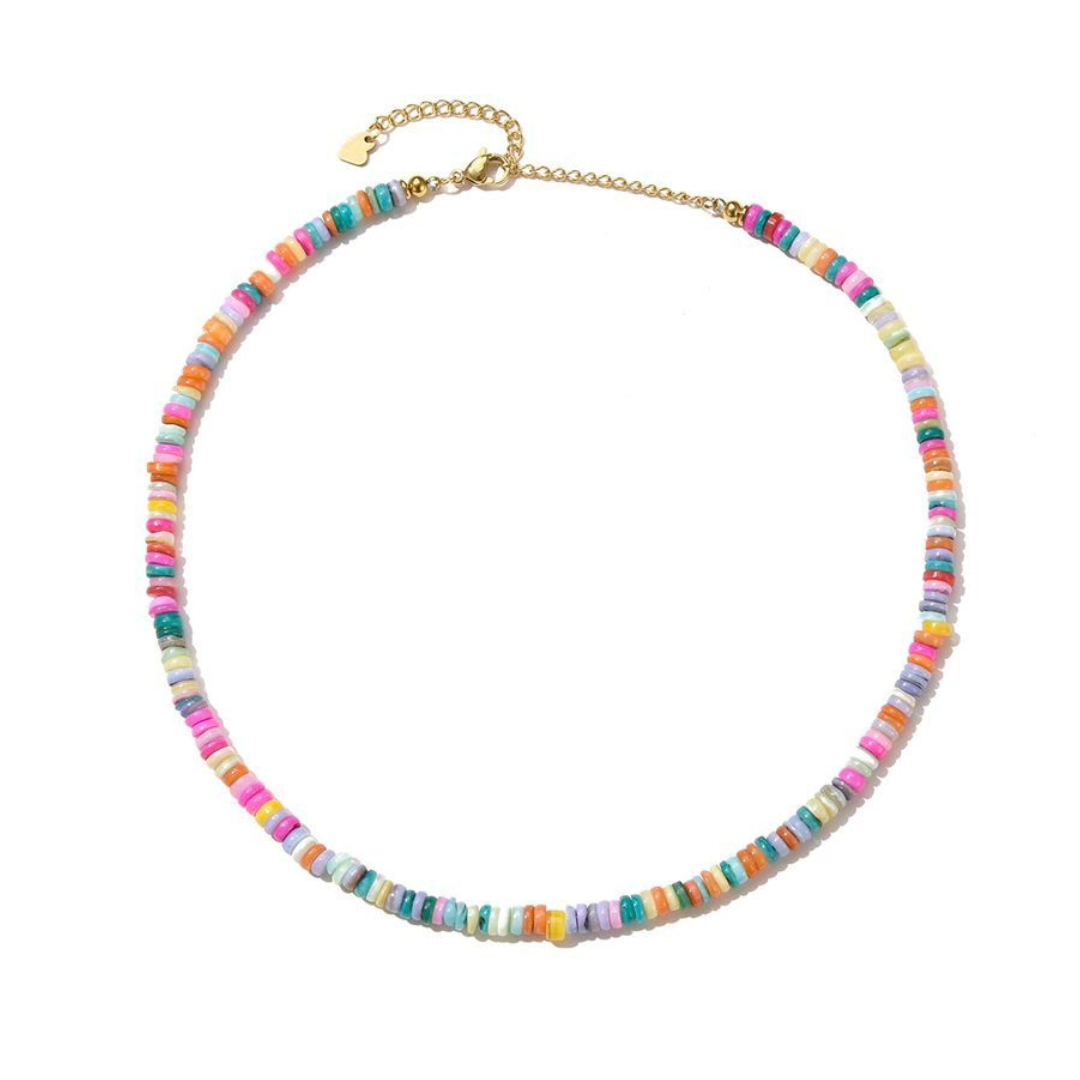 Gekleurde schelpjes ketting