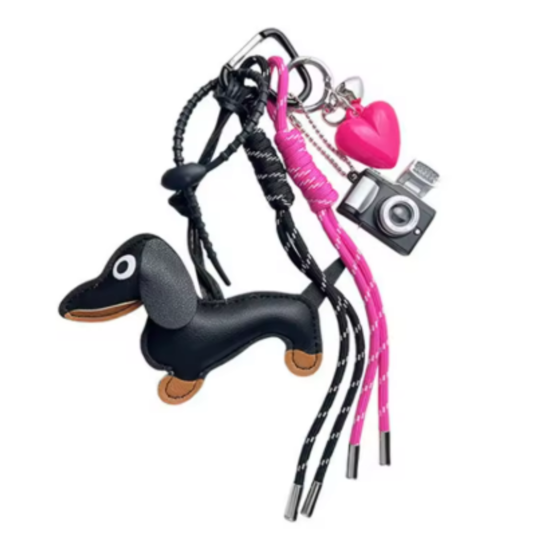 Teckel hanger camera